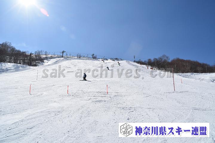 20190302-130456-0.jpg