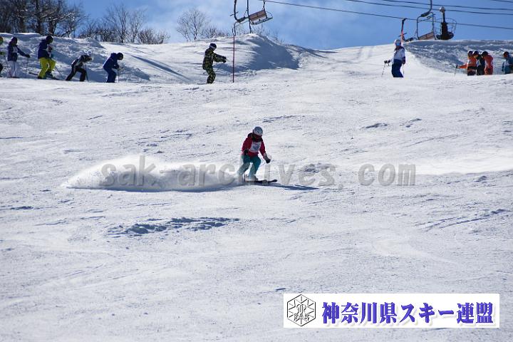 20190302-132423-0.jpg