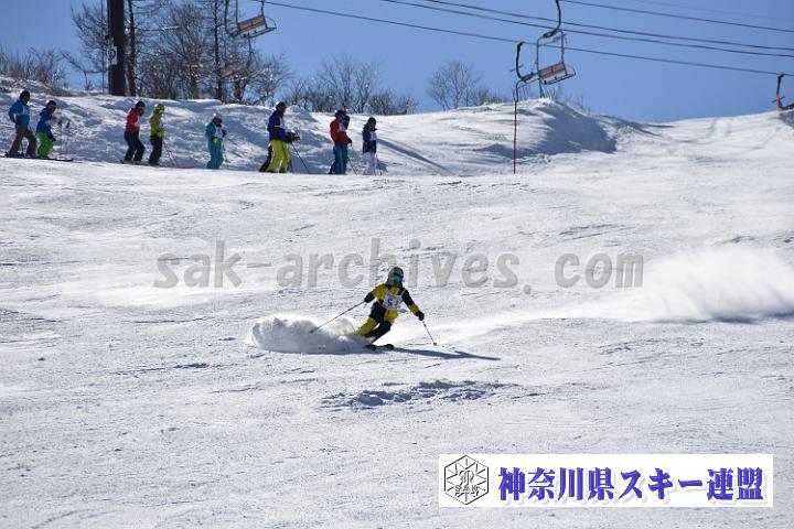 20190302-132537-0.jpg