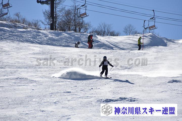 20190302-133641-0.jpg