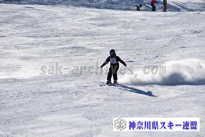 20190302-133645-0.jpg
