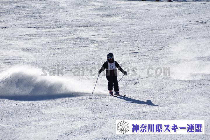 20190302-133646-1.jpg