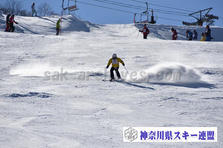 20190302-133732-0.jpg