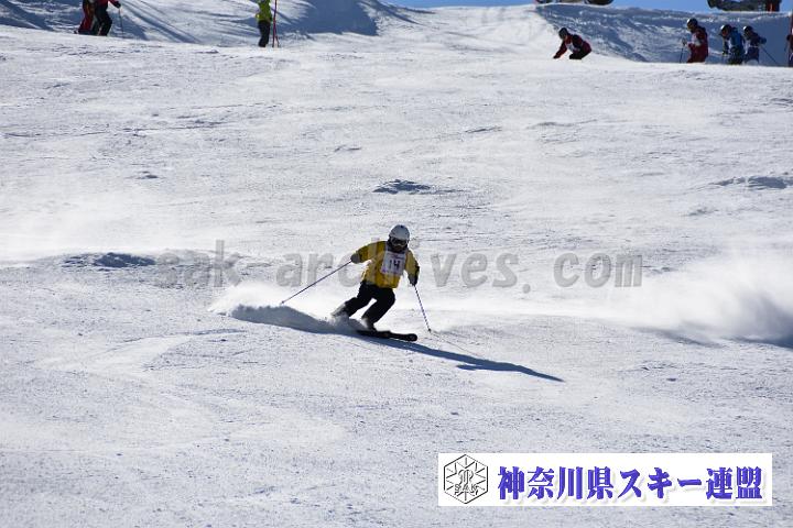 20190302-133735-0.jpg