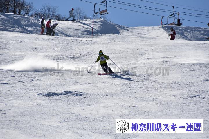20190302-133815-0.jpg