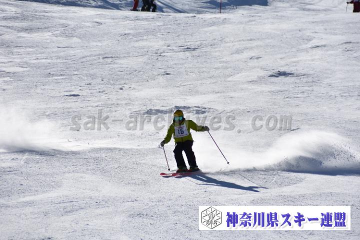 20190302-133819-0.jpg