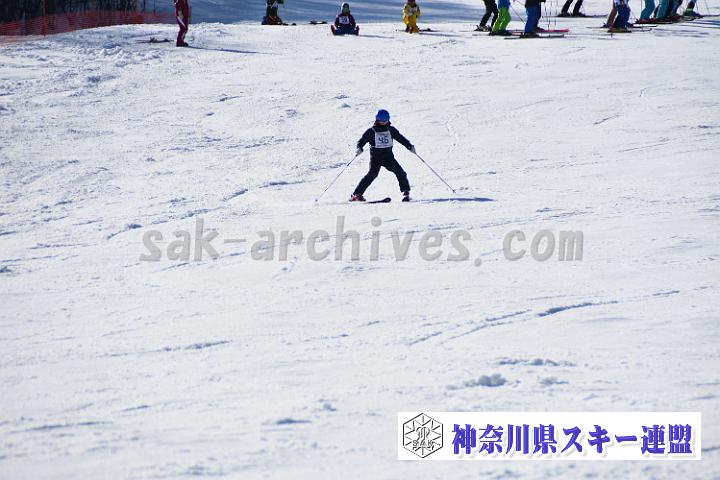 20190302-144345-0.jpg