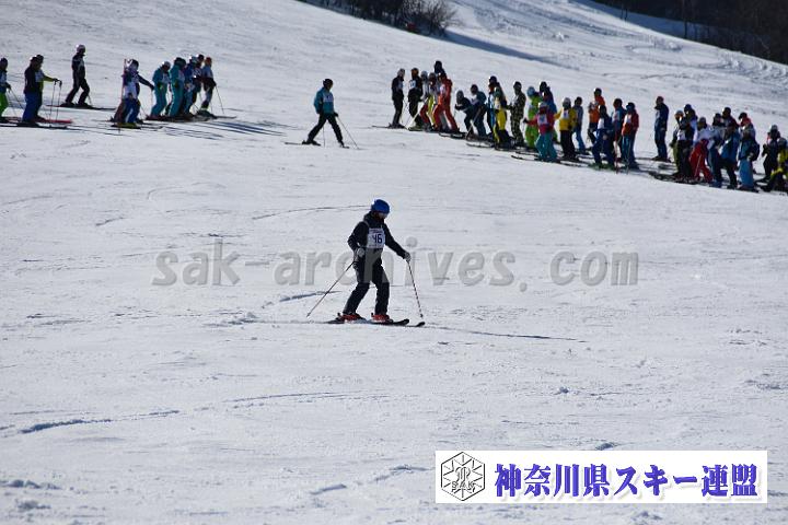 20190302-144347-0.jpg
