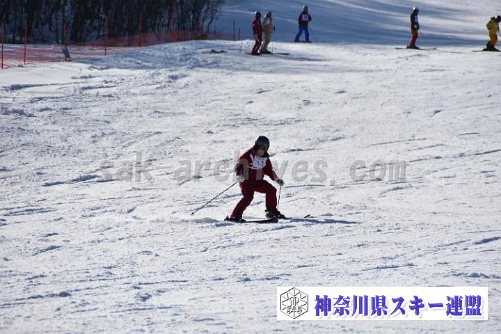 20190302-150404-1.jpg