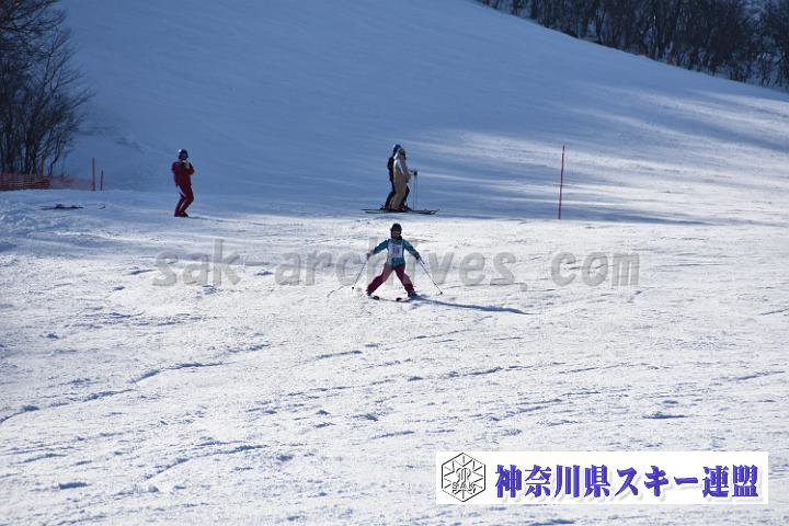 20190302-151657-0.jpg