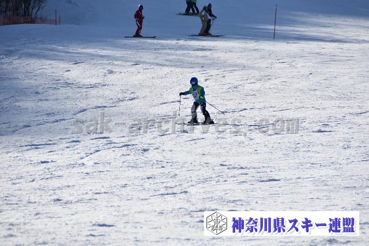 20190302-151938-0.jpg