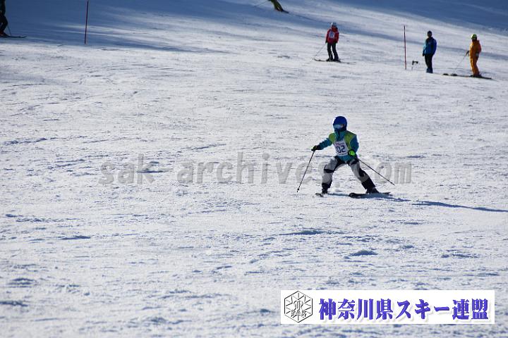 20190302-151943-0.jpg