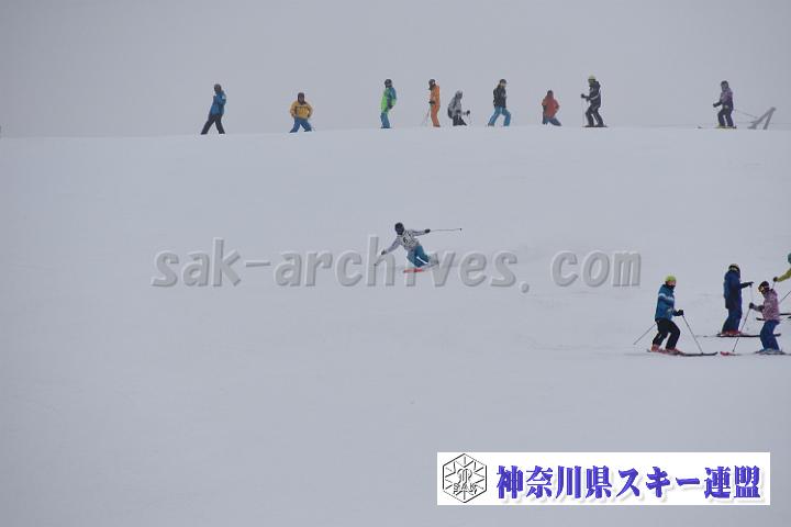 20190303-095244-0.jpg
