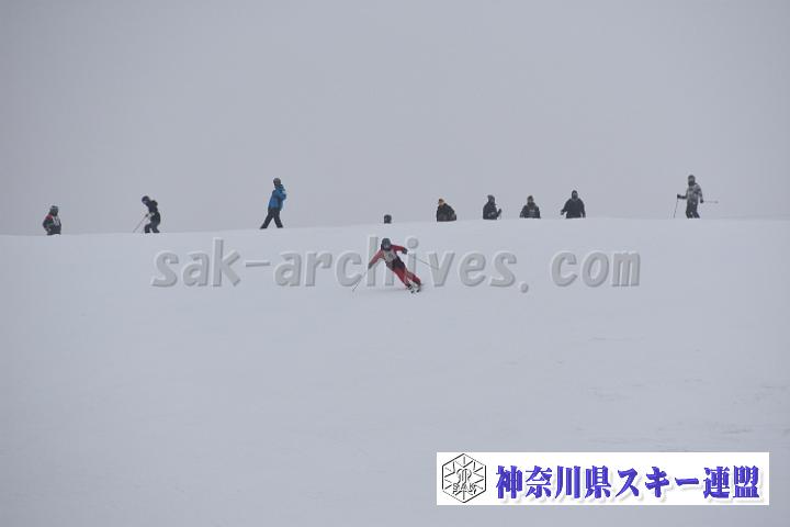 20190303-095418-0.jpg