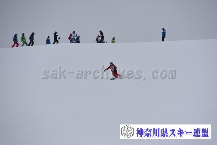 20190303-101326-0.jpg