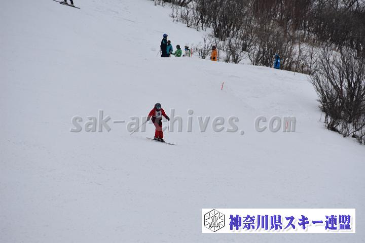 20190303-110943-0.jpg