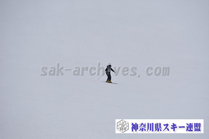 20190303-111014-0.jpg