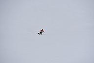 20190303-110522-1
