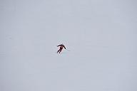 20190303-110707-2