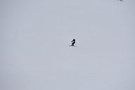 20190303-111011-0