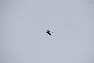 20190303-111123-1
