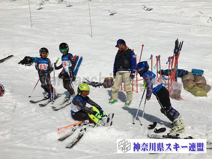 20190302_104048_0.jpg