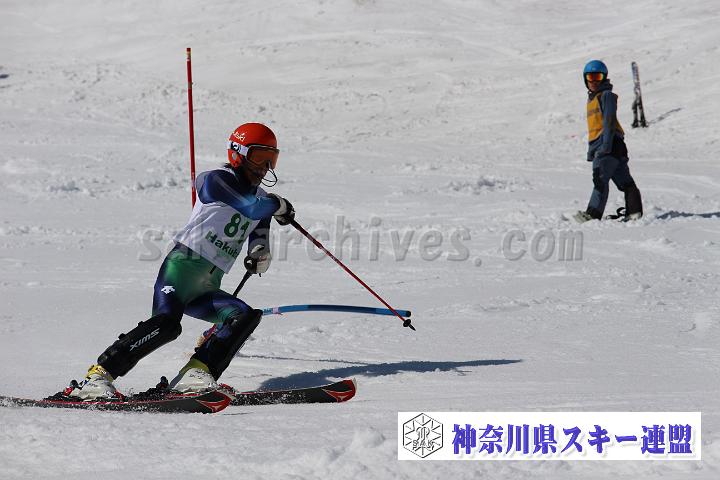 20190302_124516_0.jpg