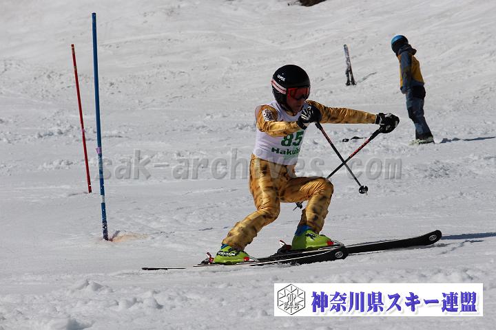 20190302_125436_1.jpg