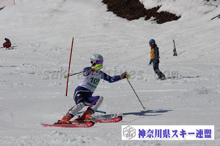 20190302_125755_0.jpg