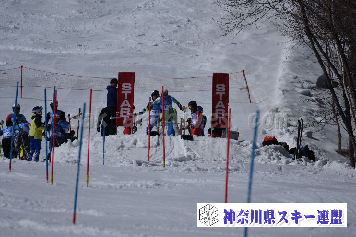 190309_125312_0.jpg