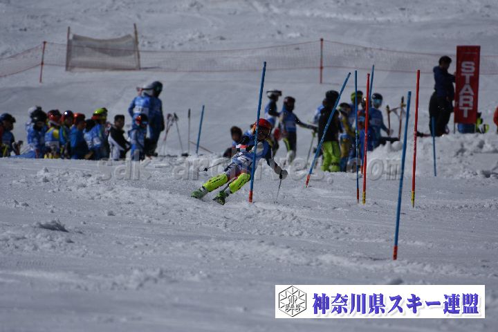 190309_130402_1.jpg