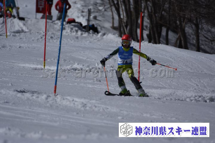 190309_130610_0.jpg