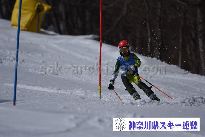 190309_130612_4.jpg