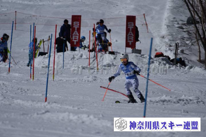 190309_131124_0.jpg