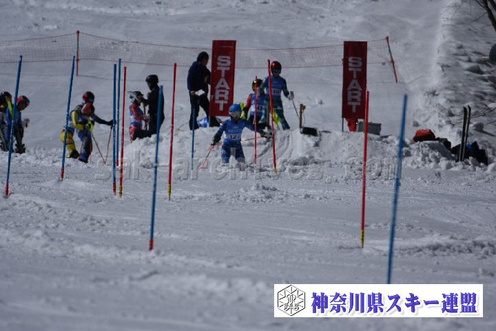 190309_131320_0.jpg