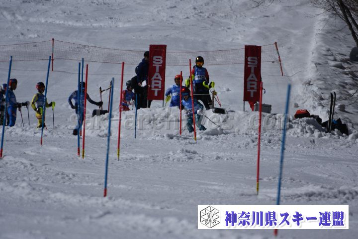 190309_131350_1.jpg