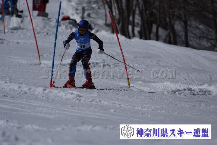 190309_131713_3.jpg