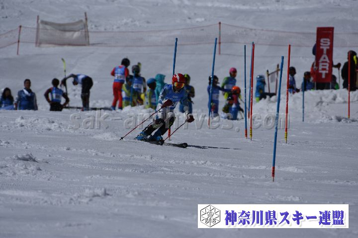 190309_122841_1.jpg