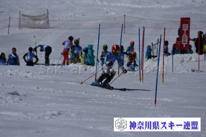190309_122842_0.jpg
