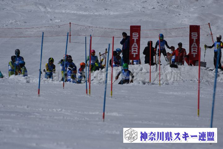 190309_122933_1.jpg
