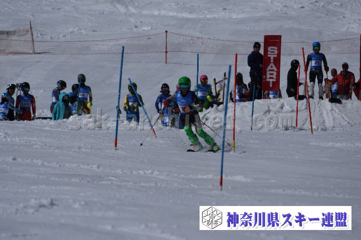 190309_122939_2.jpg
