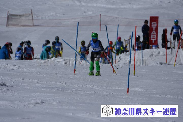 190309_122939_4.jpg