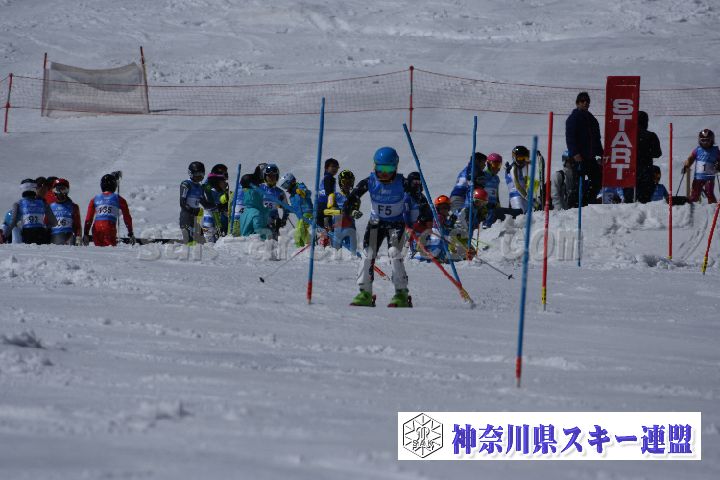 190309_123008_0.jpg