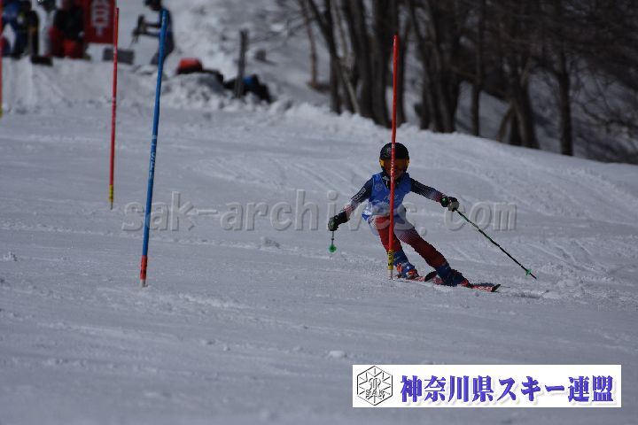 190309_123243_1.jpg