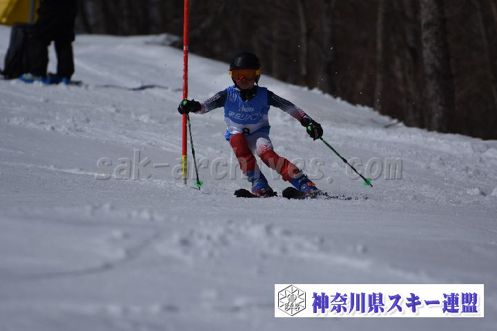 190309_123247_0.jpg