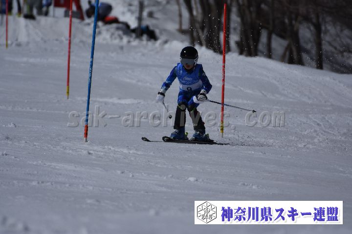 190309_123404_3.jpg