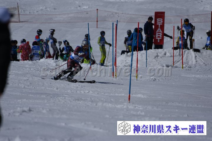 190309_124037_0.jpg