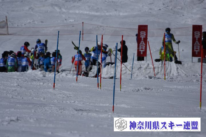 190309_124346_1.jpg