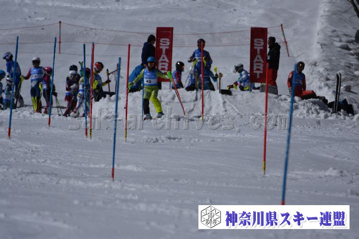 190309_124442_4.jpg