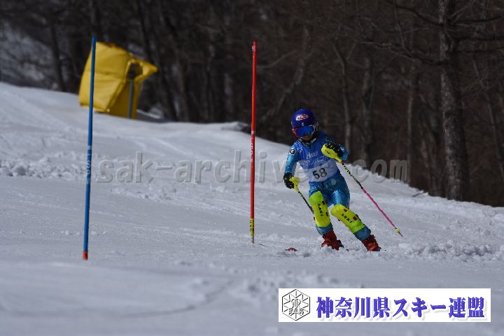 190309_124739_2.jpg